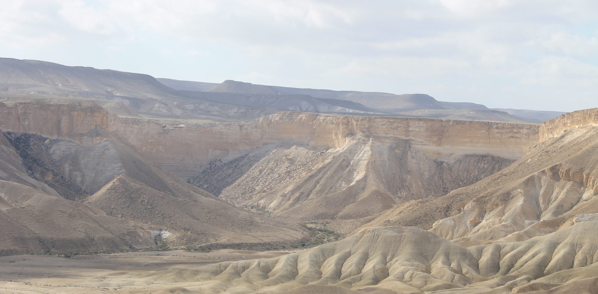 תמונה של המדבר